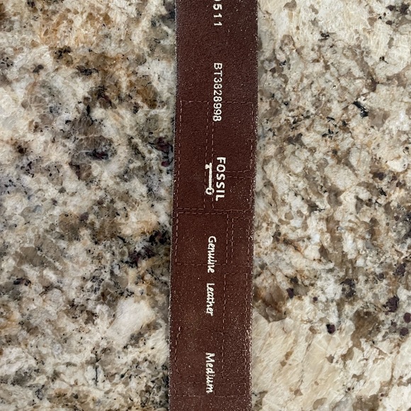 Fossil Belt - Picture 4 of 4